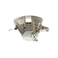 Piston Brake Caliper 1-piston 13 mm TRISCAN...