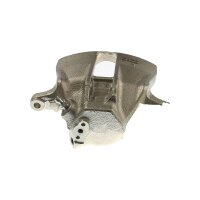Piston Brake Caliper 1-piston 13 mm TRISCAN...