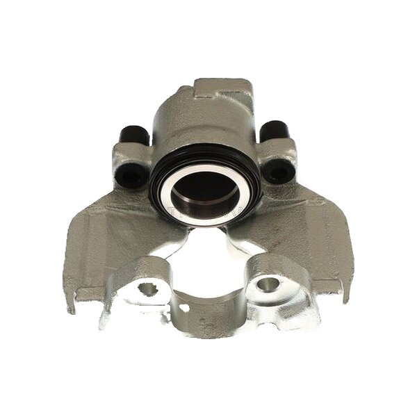 Piston Brake Caliper 1-piston 24 mm TRISCAN IAM-Expertise for VW TRANSPORTER