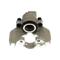 Piston Brake Caliper 1-piston 24 mm TRISCAN IAM-Expertise...