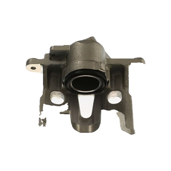 Piston Brake Caliper 1-piston 18 mm TRISCAN IAM-Expertise for VW TRANSPORTER