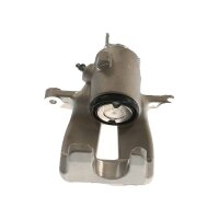 Piston Brake Caliper 1-piston 12 mm TRISCAN IAM-Expertise...
