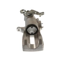 Piston Brake Caliper 1-piston 22 mm TRISCAN IAM-Expertise...
