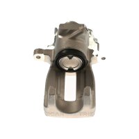Piston Brake Caliper 1-piston 22 mm TRISCAN...