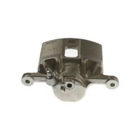Piston Brake Caliper 1-piston 21 mm TRISCAN IAM-Expertise...