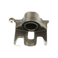 Piston Brake Caliper 1-piston 21 mm TRISCAN IAM-Expertise...