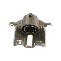 Piston Brake Caliper 1-piston 21 mm TRISCAN IAM-Expertise...