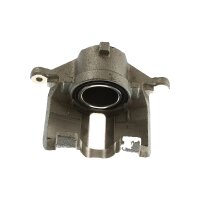 Piston Brake Caliper 1-piston 21 mm TRISCAN IAM-Expertise...