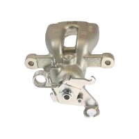 Piston Brake Caliper 1-piston 10 mm TRISCAN IAM-Expertise...