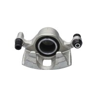 Piston Brake Caliper 1-piston 19 mm TRISCAN IAM-Expertise...
