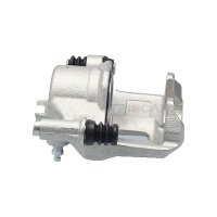 Piston Brake Caliper 1-piston 19 mm TRISCAN IAM-Expertise for HYUNDAI GETZ