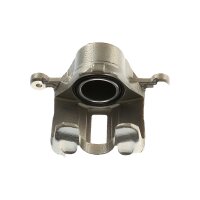 Piston Brake Caliper 1-piston 22 mm TRISCAN IAM-Expertise...