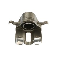 Piston Brake Caliper 1-piston 22 mm TRISCAN IAM-Expertise...