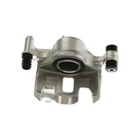 Piston Brake Caliper 1-piston 18 mm TRISCAN IAM-Expertise...