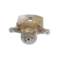 Piston Brake Caliper 1-Piston 28 mm TRISCAN IAM-Expertise...