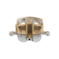 Piston Brake Caliper 2-piston 28 mm TRISCAN IAM-Expertise...