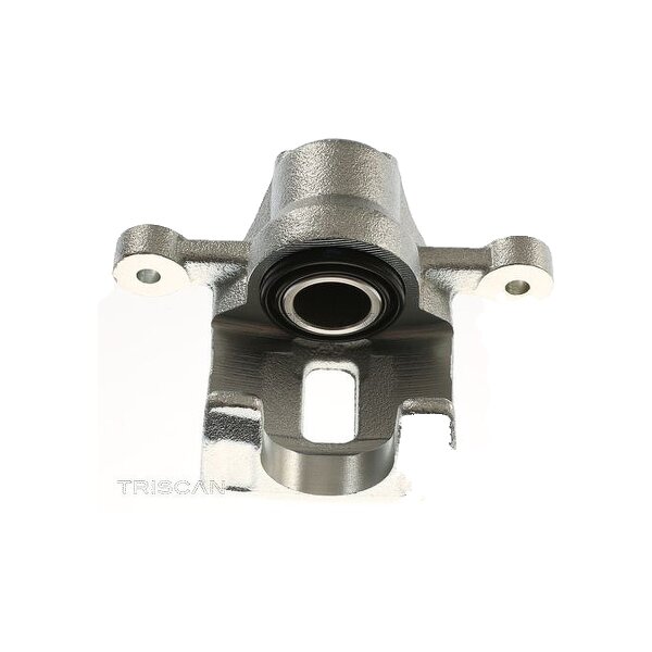 Piston Brake Caliper 1-piston 10 mm TRISCAN IAM-Expertise for HYUNDAI ix35