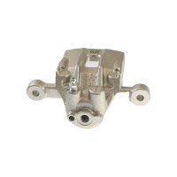 Piston Brake Caliper 1-piston 10 mm TRISCAN IAM-Expertise...