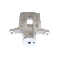 Piston Brake Caliper 1-piston 10 mm TRISCAN IAM-Expertise...