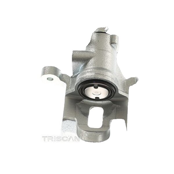 Piston Brake Caliper 1-Piston 10 mm TRISCAN IAM-Expertise for HYUNDAI ix20
