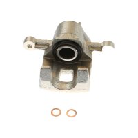 Piston Brake Caliper 1-piston 10 mm TRISCAN IAM-Expertise...