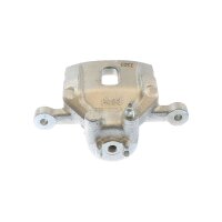 Piston Brake Caliper 1-piston 18 mm TRISCAN IAM-Expertise...