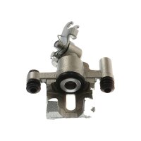 Piston Brake Caliper 1-piston 10 mm TRISCAN IAM-Expertise...