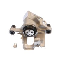 Piston Brake Caliper 1-Piston 11 mm TRISCAN IAM-Expertise...
