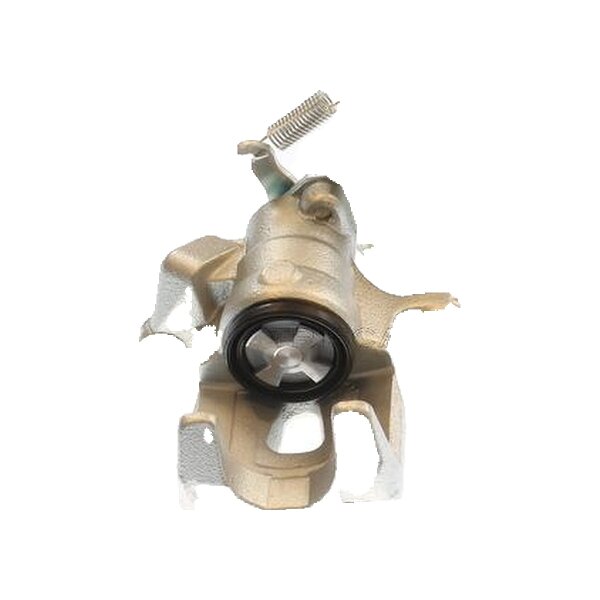 Piston Brake Caliper 1-piston 10 mm TRISCAN IAM-Expertise for e.g. MAZDA CX-5