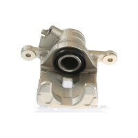 Piston Brake Caliper 1-piston 10 mm TRISCAN IAM-Expertise...