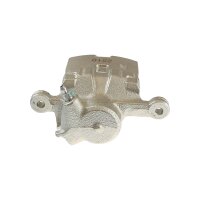 Piston Brake Caliper 1-piston 10 mm TRISCAN IAM-Expertise...