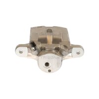 Piston Brake Caliper 1-piston 18 mm TRISCAN IAM-Expertise...