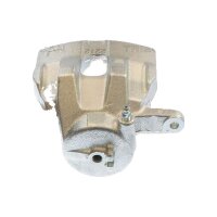 Piston Brake Caliper 1-piston 25 mm TRISCAN IAM-Expertise...