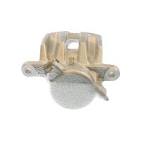 Piston Brake Caliper 1-piston 25 mm TRISCAN IAM-Expertise...