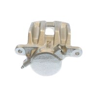 Piston Brake Caliper 1-piston 25 mm TRISCAN IAM-Expertise...