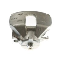 Piston Brake Caliper 1-Piston TRISCAN...