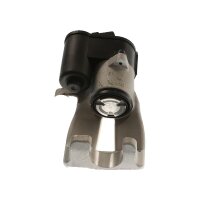Piston Brake Caliper 1-piston 22 mm TRISCAN IAM-Expertise...