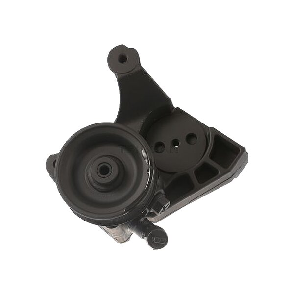 Hydraulikpumpe Lenkung hydraulisch TRISCAN für u.a. FIAT DUCATO
