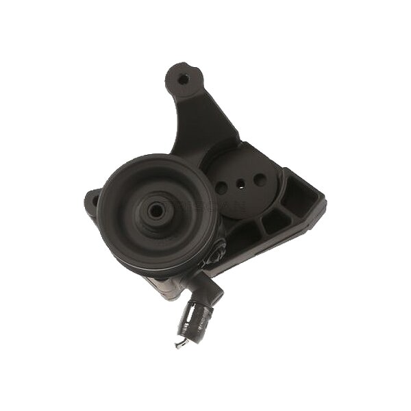 Hydraulikpumpe Lenkung hydraulisch TRISCAN für u.a. FIAT DUCATO