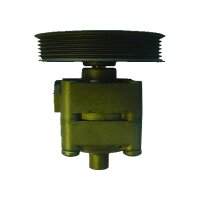 Hydraulikpumpe Lenkung hydraulisch TRISCAN passend...