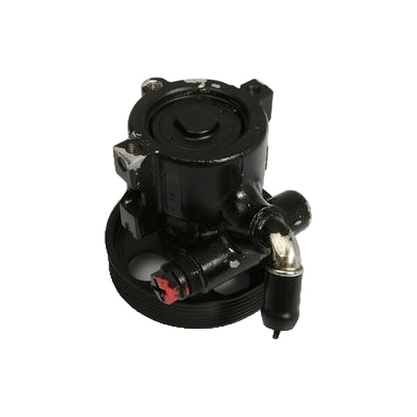 Hydraulikpumpe Lenkung hydraulisch TRISCAN IAM-Expertise für CITROËN SAXO