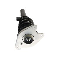 Shock Absorber gas pressure strut TRISCAN...