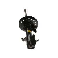 Shock Absorber gas pressure strut TRISCAN IAM-Expertise...