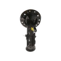 Shock Absorber Gas pressure TRISCAN IAM-Expertise for...