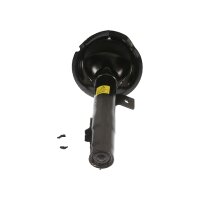 Shock Absorber gas pressure TRISCAN IAM-Expertise for...