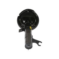 Shock Absorber gas pressure TRISCAN IAM-Expertise for...