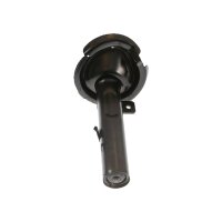 Shock Absorber gas pressure TRISCAN IAM-Expertise for...