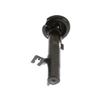 Shock Absorber gas pressure strut TRISCAN IAM-Expertise...