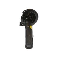 Shock Absorber gas pressure TRISCAN IAM-Expertise for...