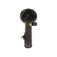 Shock Absorber gas pressure TRISCAN IAM-Expertise for...